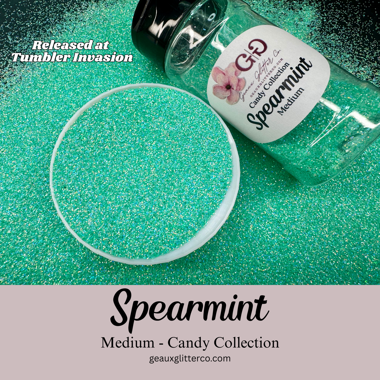 Spearmint - Medium - Candy Collection