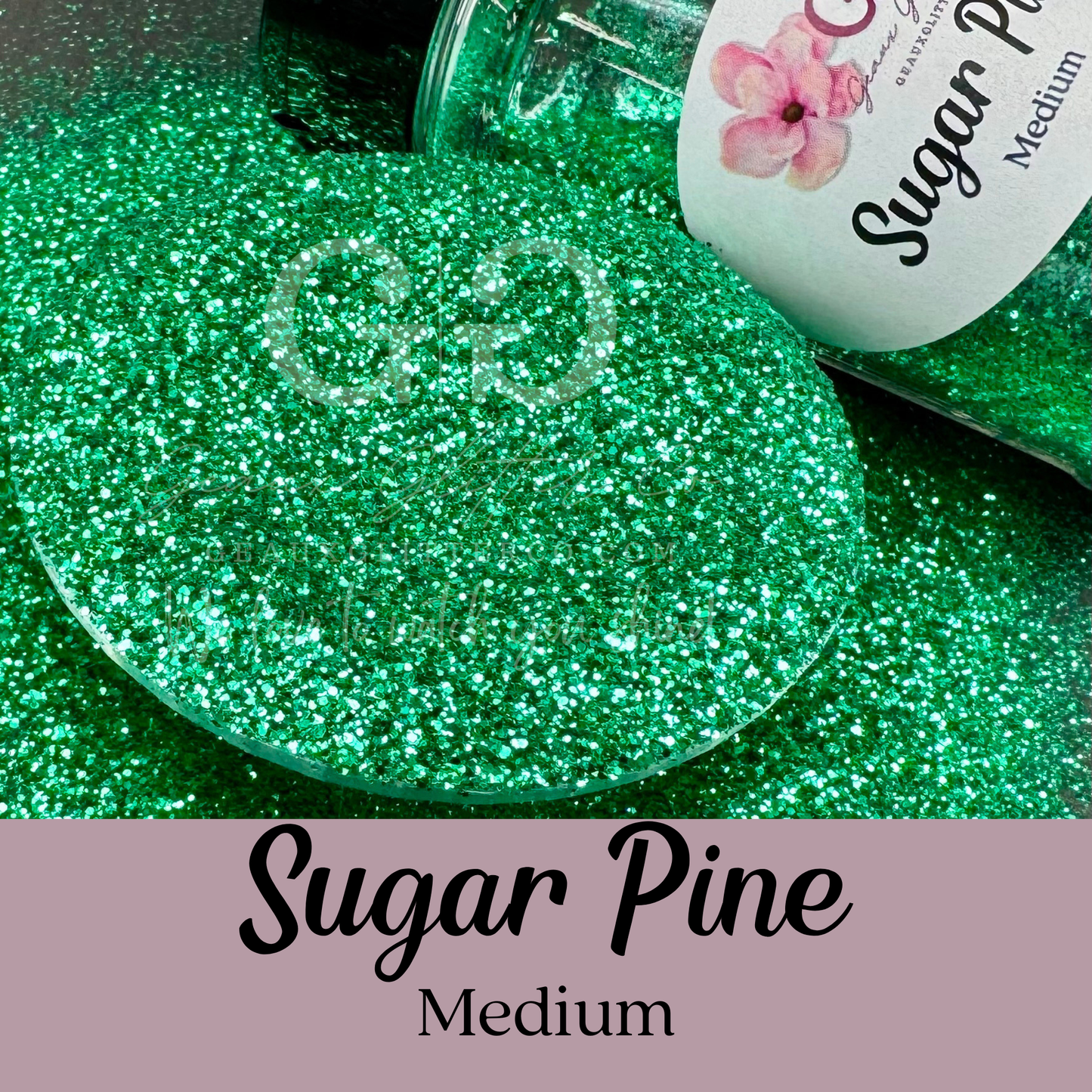 Sugar Pine Medium