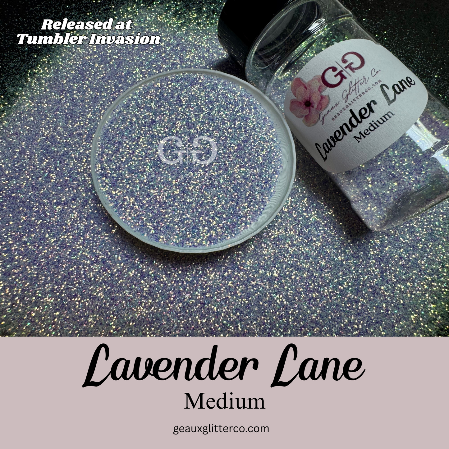 Lavender Lane - Medium