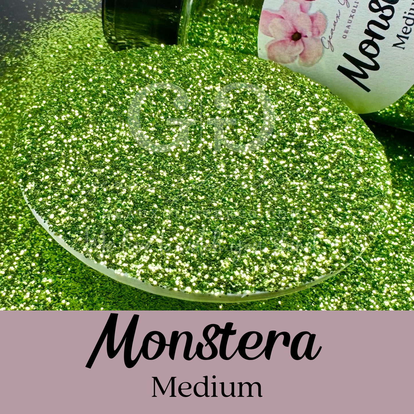 Monstera - Medium