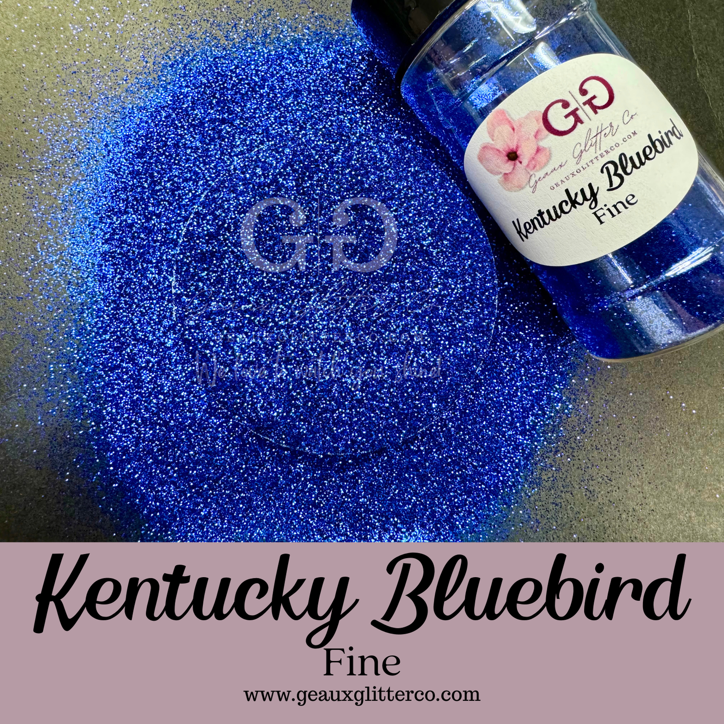 Kentucky Bluebird Fine