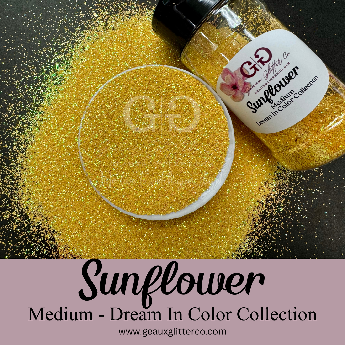 Sunflower - Medium - Dream In Color Collection