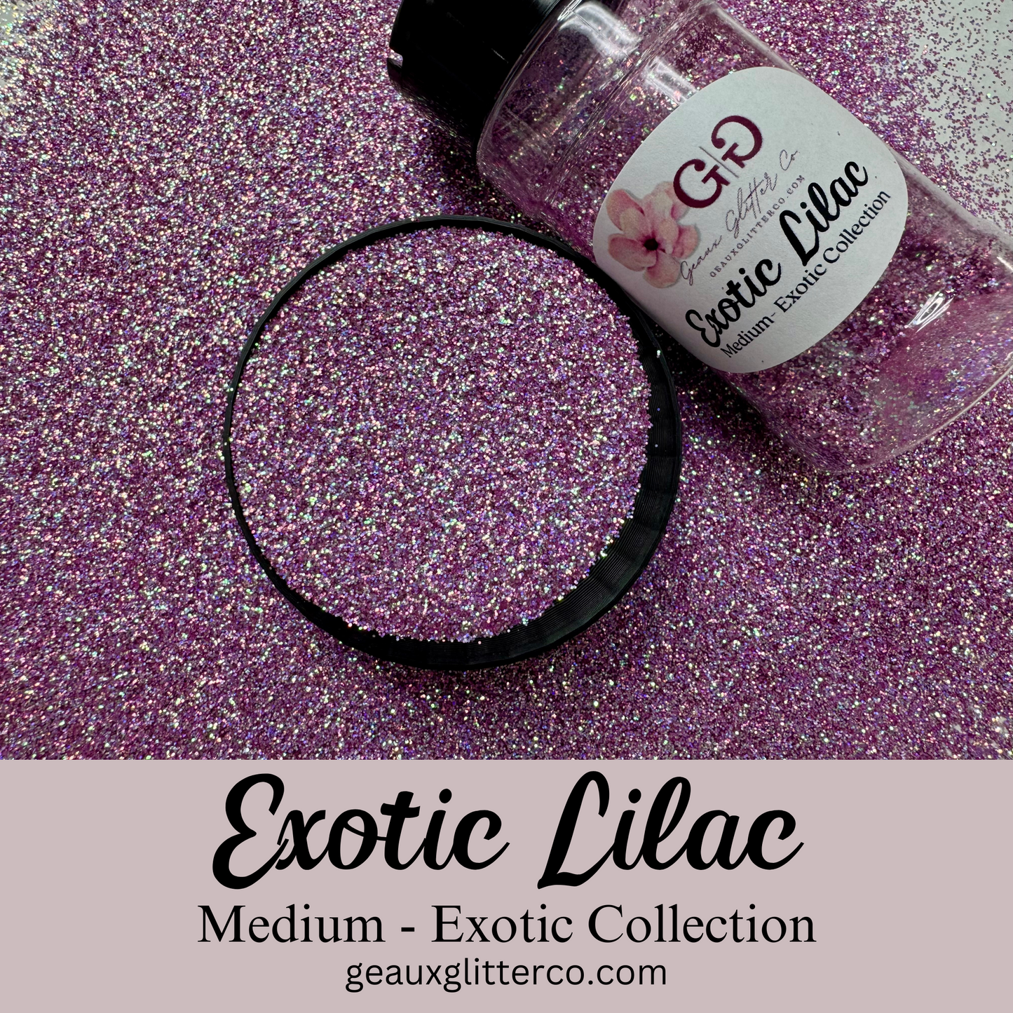 Exotic Lilac Medium - Exotic Collection
