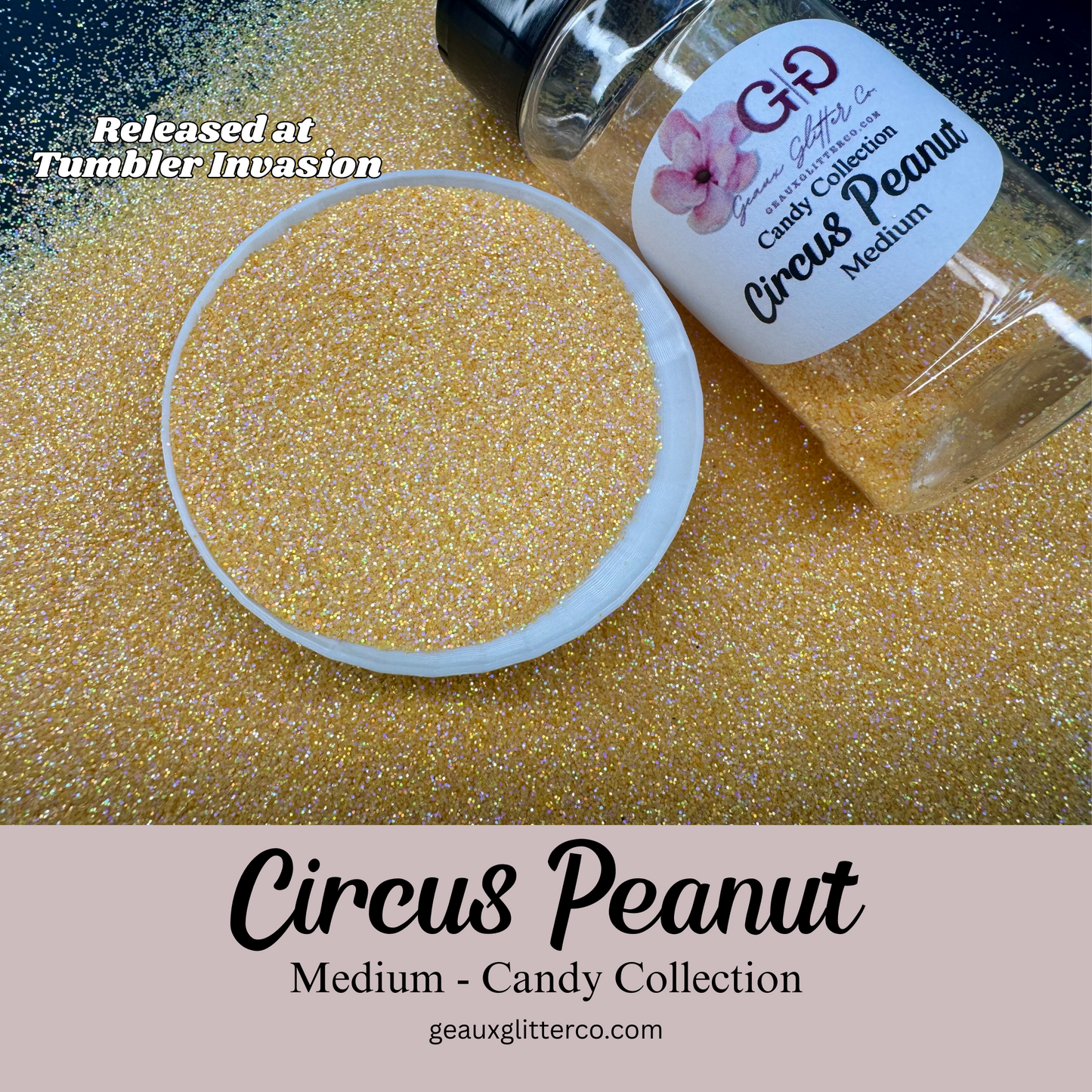 Candy Collection Medium Bundle - Shakers Only!