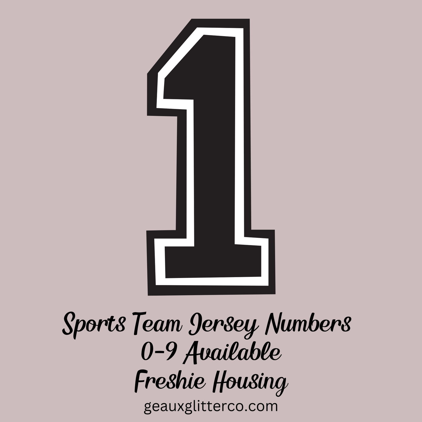 Sports Team Jersey Numbers Freshie Mold Housing
