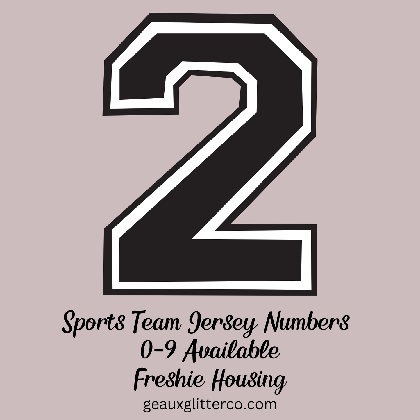 Sports Team Jersey Numbers Freshie Mold Housing