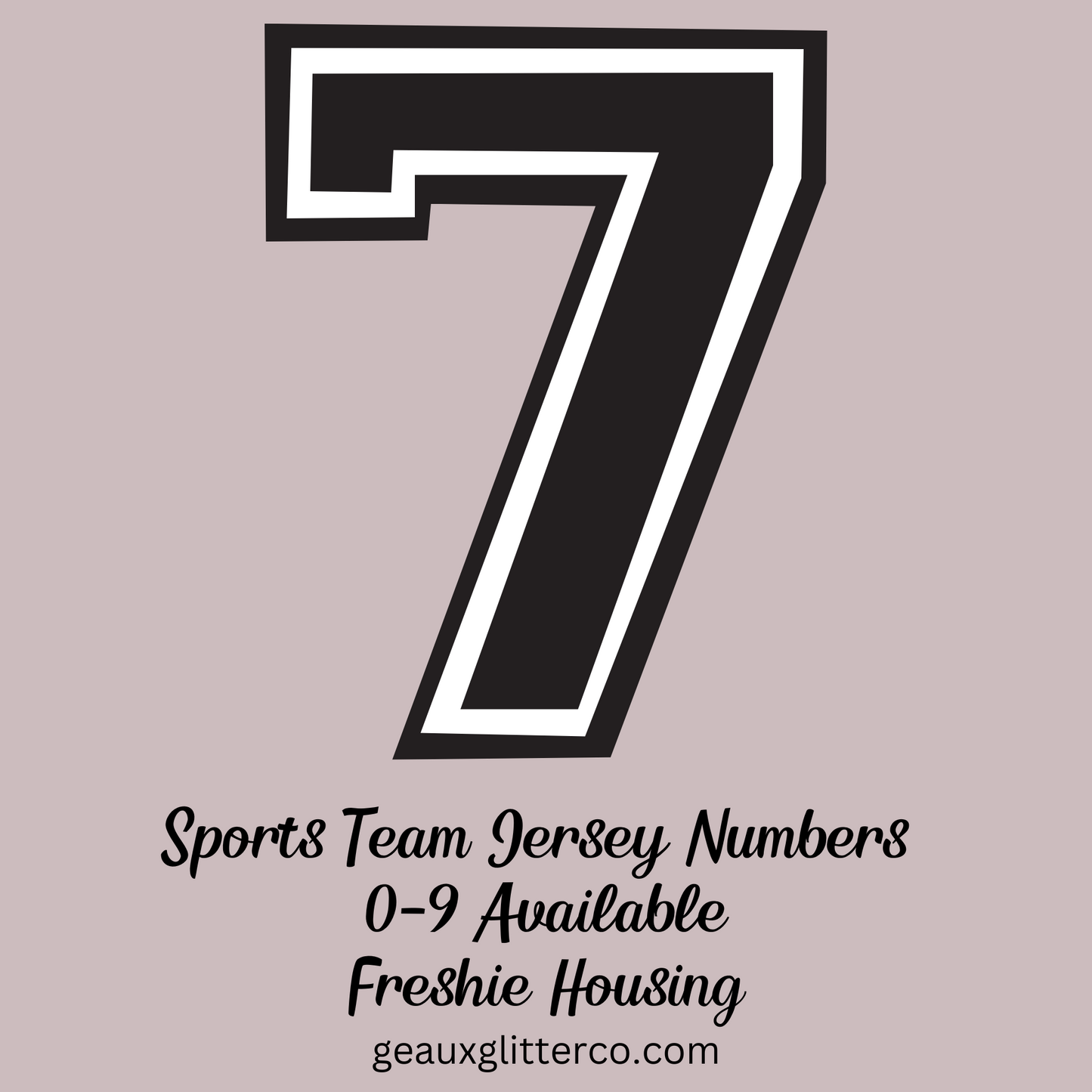 Sports Team Jersey Numbers Freshie Mold Housing