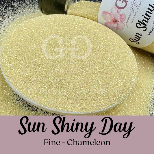 Sun Shiny Day Fine - Chameleon