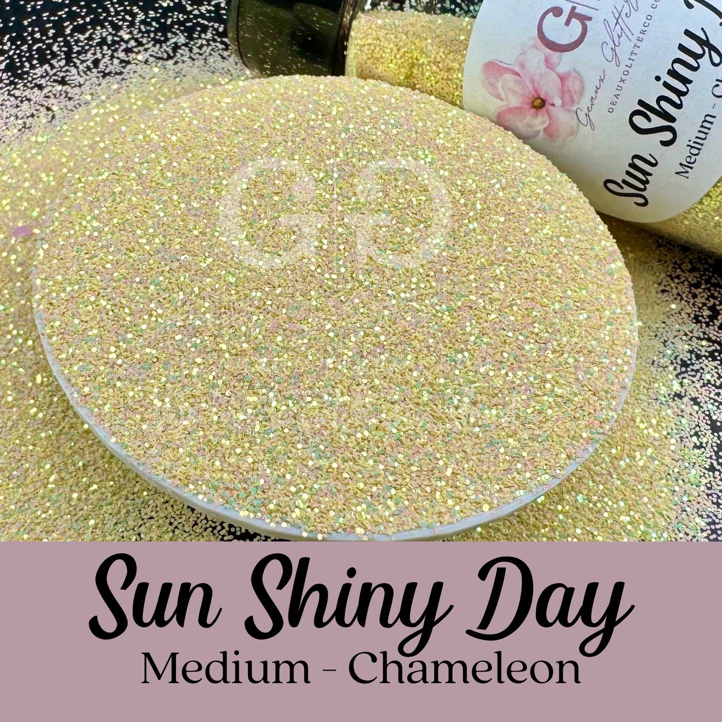 Sun Shiny Day Medium - Chameleon