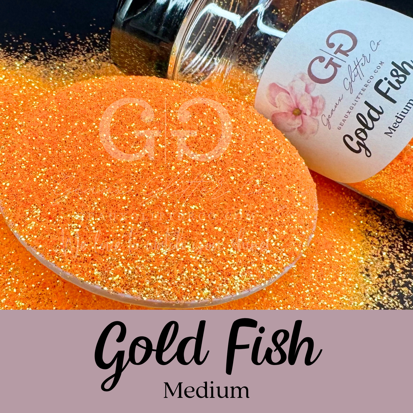Gold Fish - Medium