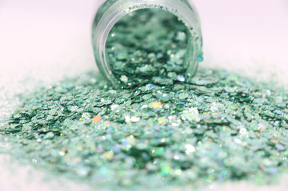 Hens & Chicks Chunky Mix - Diamond Holographic Series