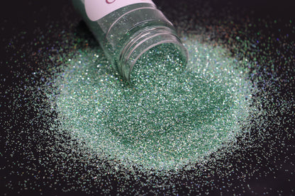 Hens & Chicks Medium - Diamond Holographic Series