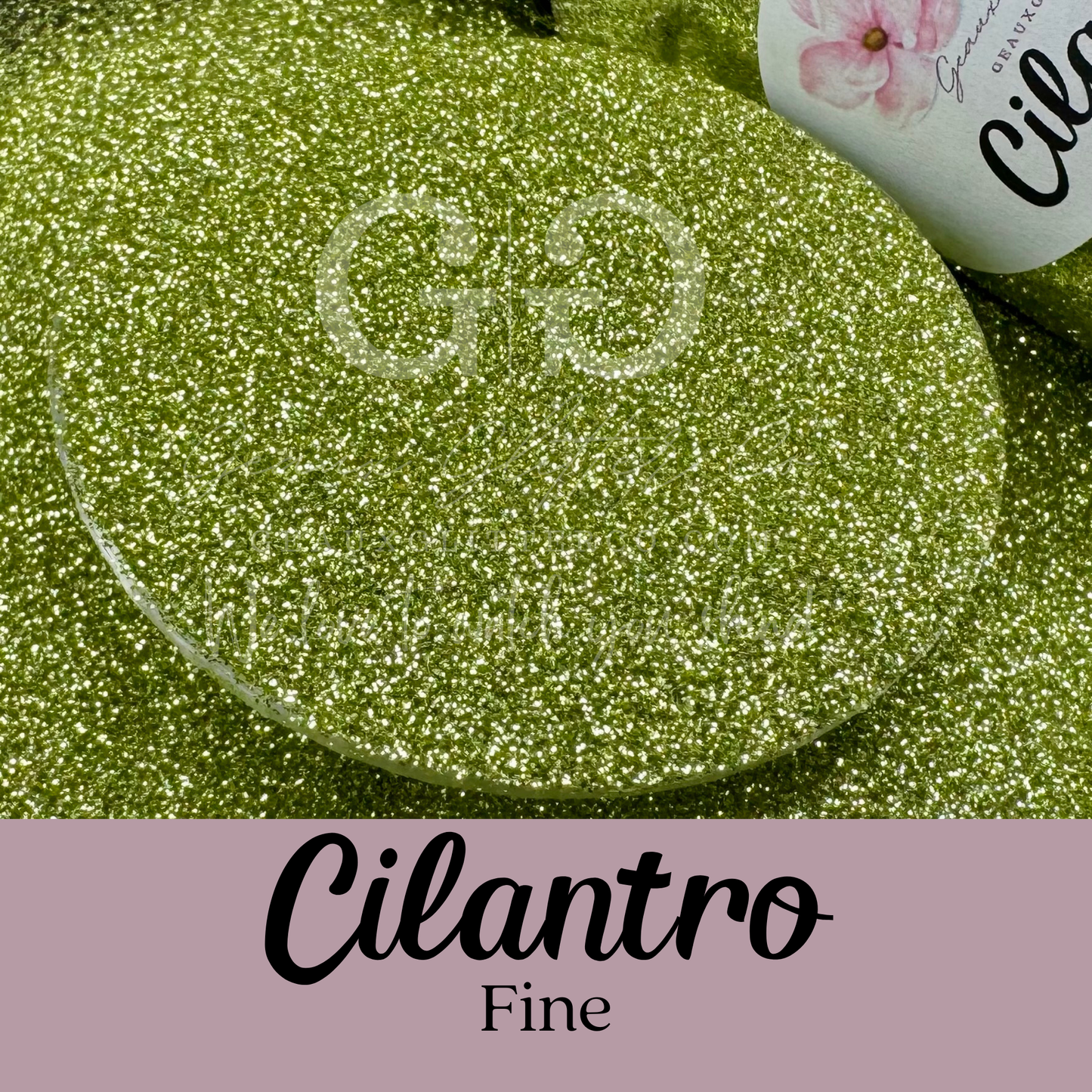 Cilantro Fine