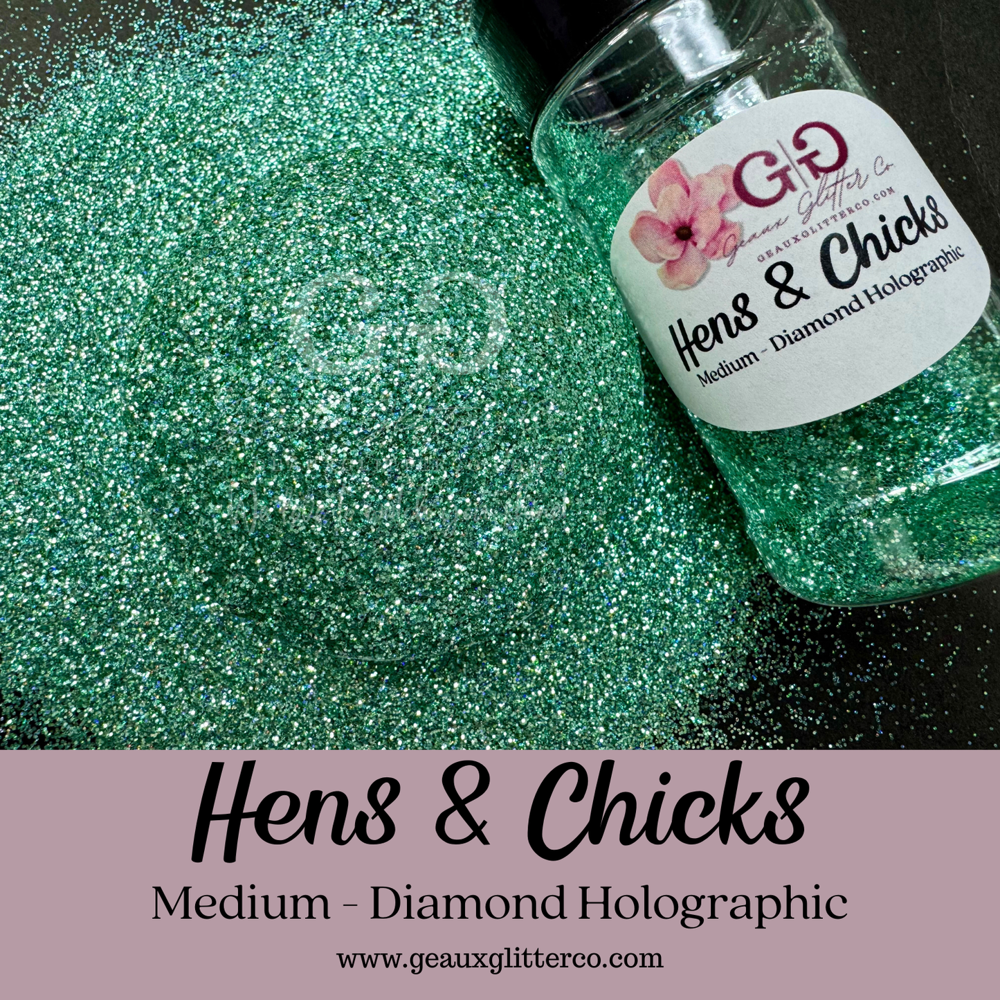 Hens & Chicks Medium - Diamond Holographic Series