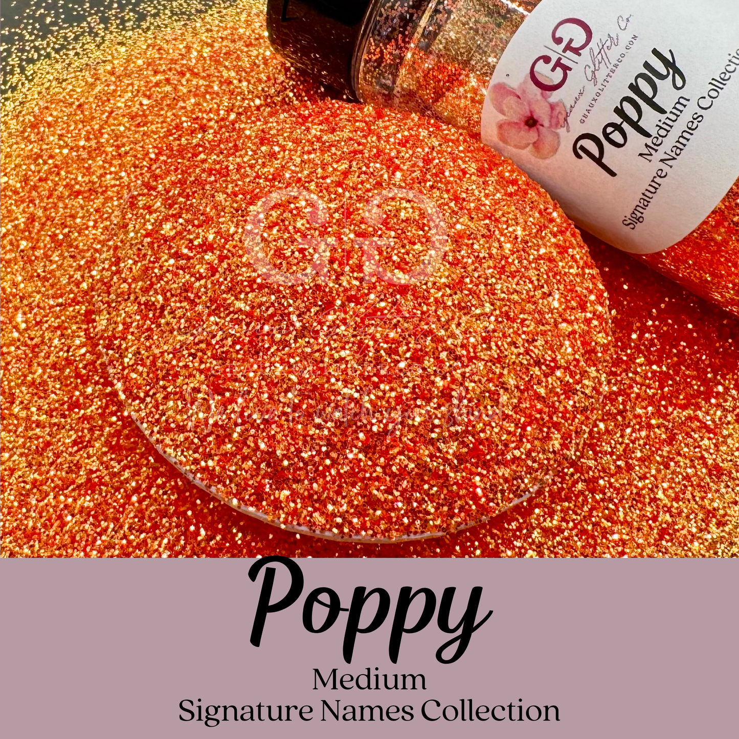 Signature Names Collection - Medium Bundle (Shakers Only)