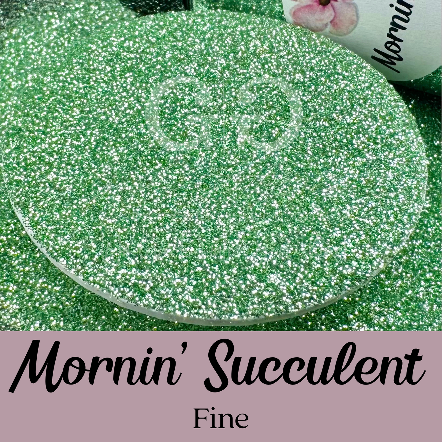 Mornin' Succulent Fine