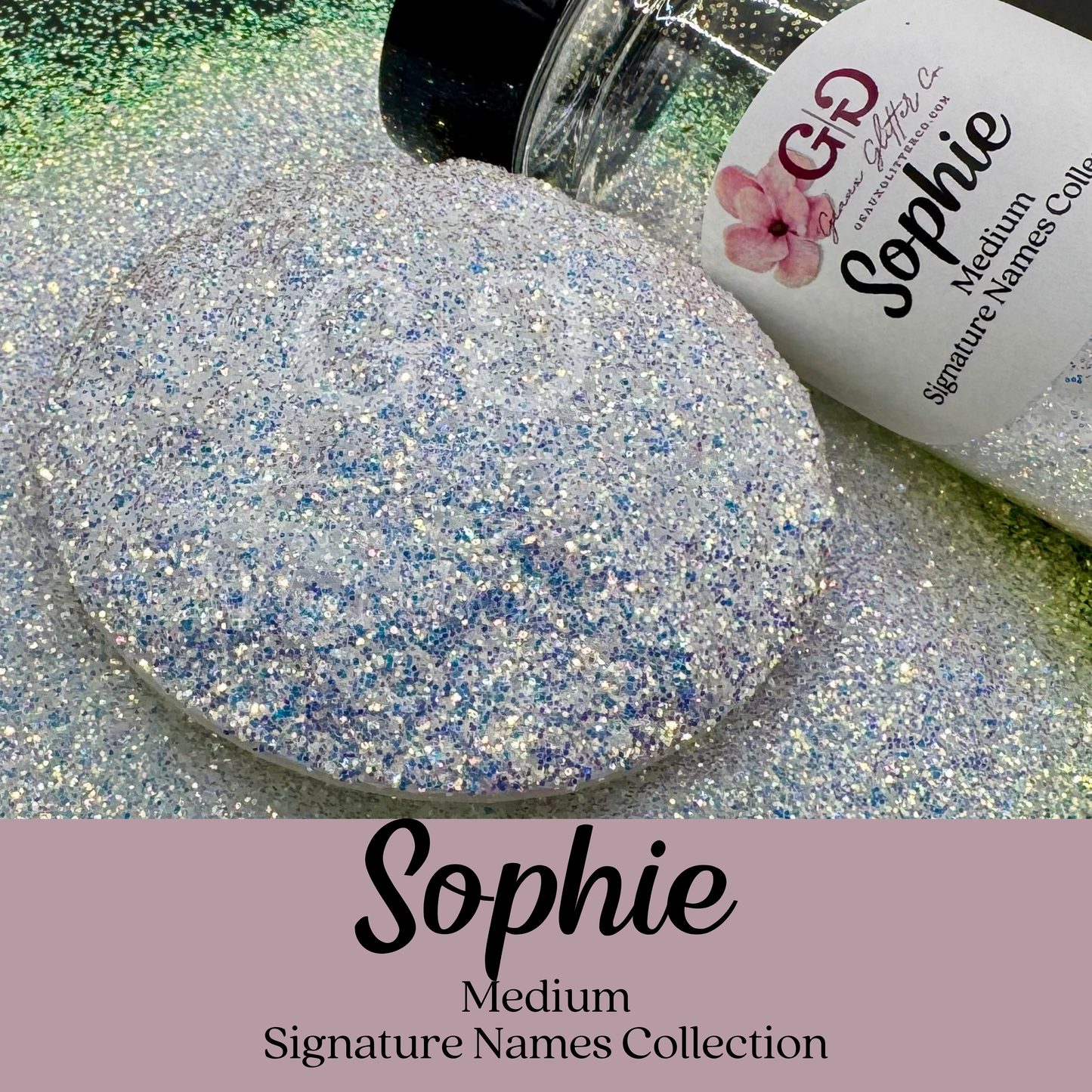 Signature Names Collection - Medium Bundle (Shakers Only)