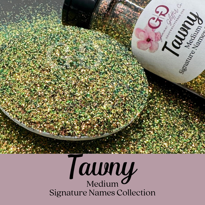 Signature Names Collection - Medium Bundle (Shakers Only)